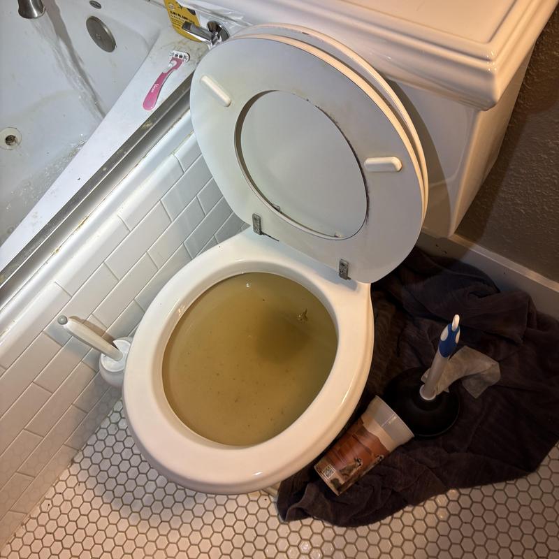 Toilet bowl clogged with standing water and plunger nearby