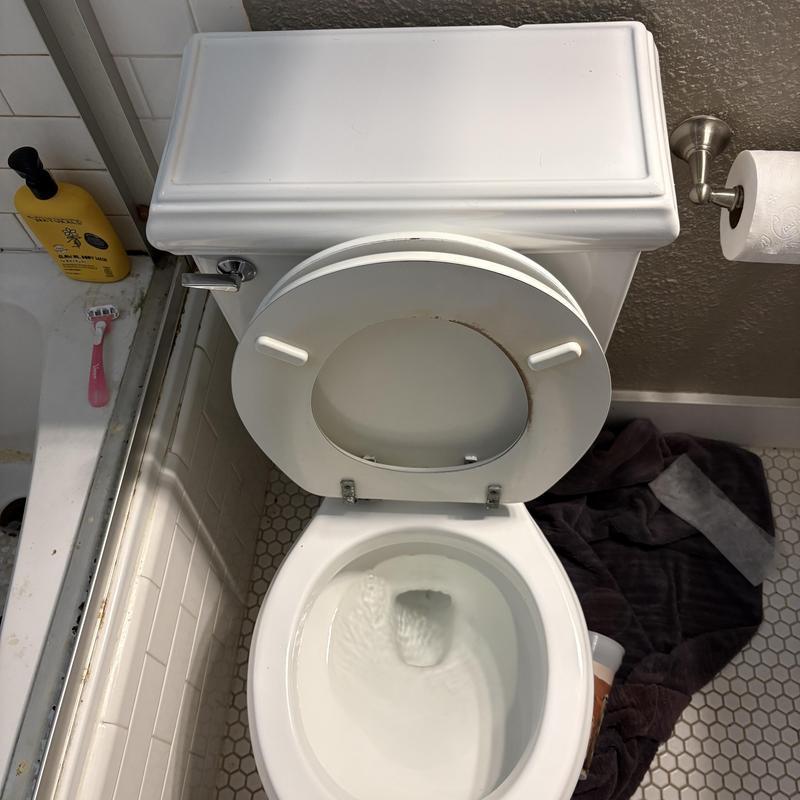 Toilet bowl and tank with open lid in bathroom