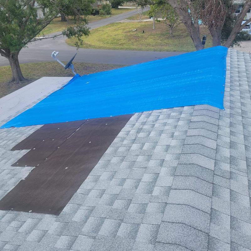 Shingle roof section with temporary blue tarp cover