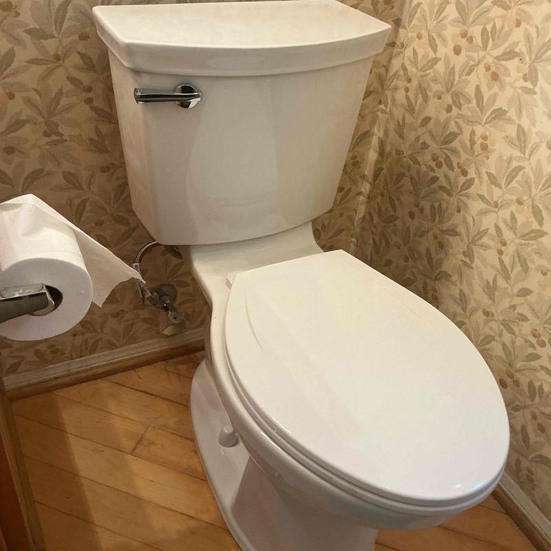 Customer-supplied toilet with new wax ring and supply line