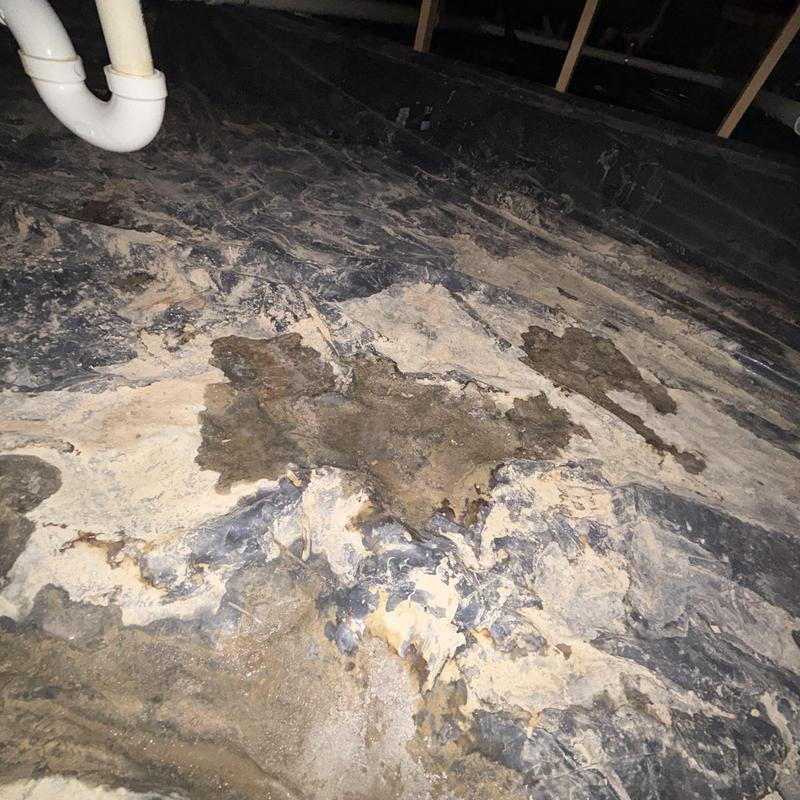 Crawl space vapor barrier with water intrusion damage