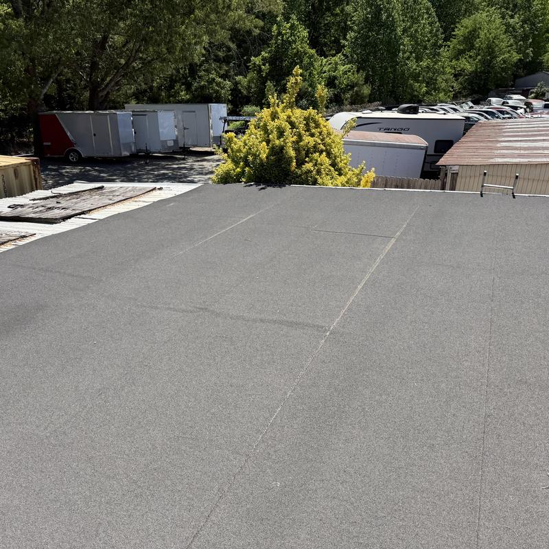 Modified bitumen roof surface with tree background