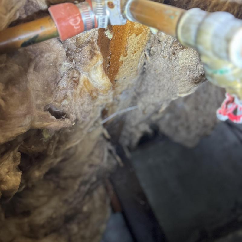 Three-quarter inch copper waterline with PEX repair clamp