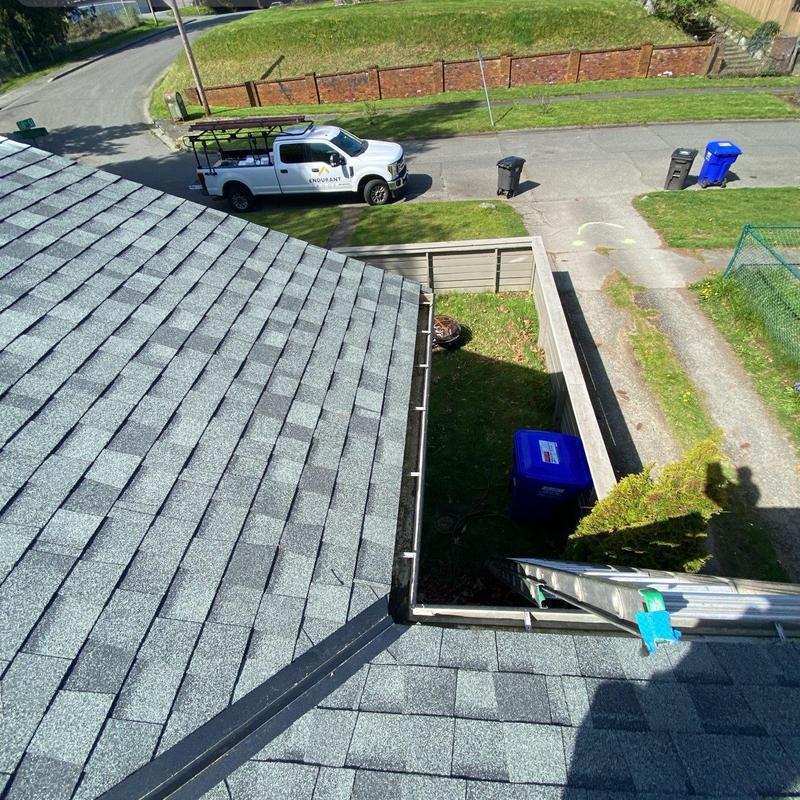 Roof shingles and gutter cleaning with ladder setup