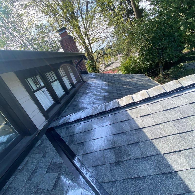 Asphalt shingle roof with moss treatment and cleaning