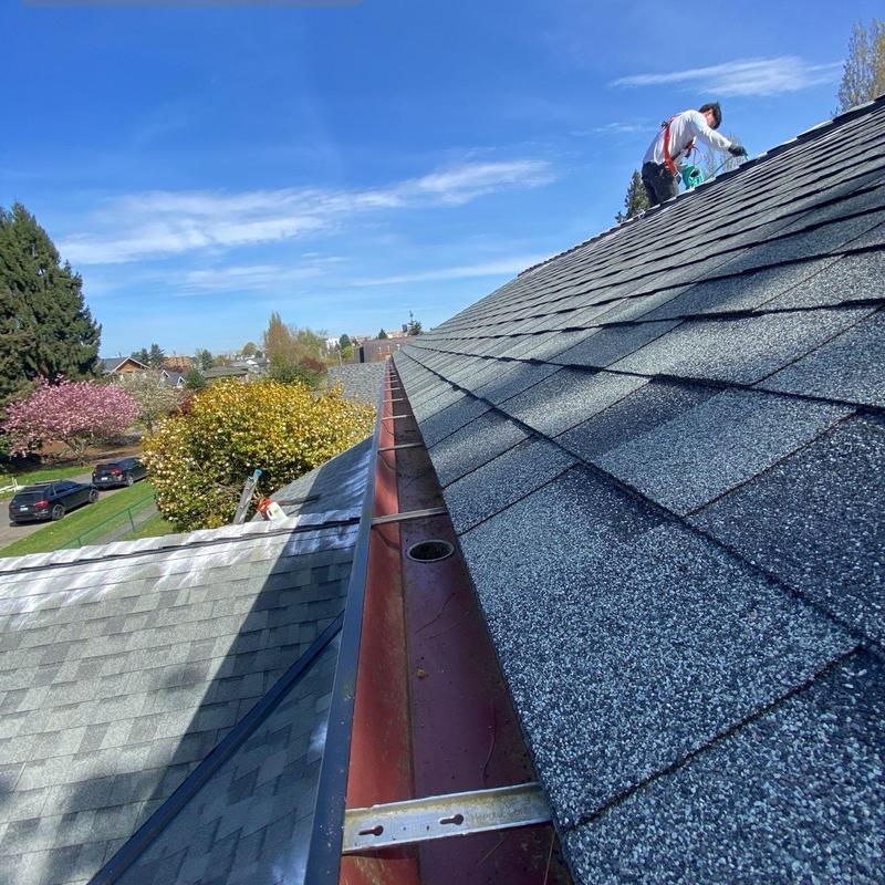 Asphalt shingle roof with gutter cleaning and moss treatment
