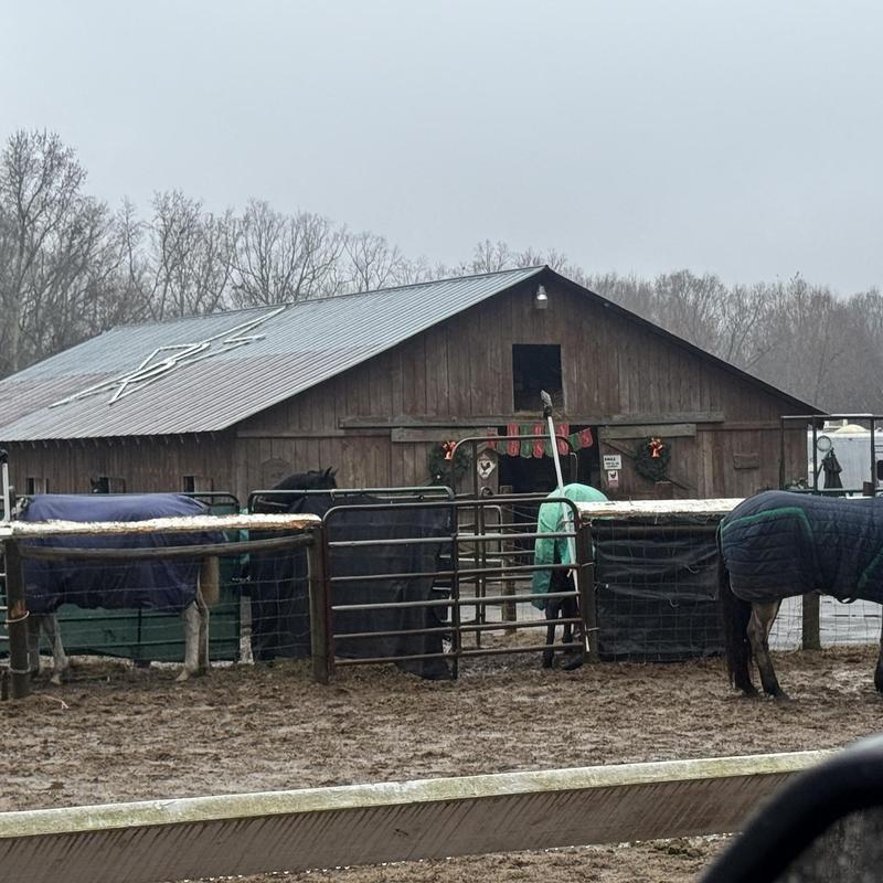 Metal fastened roof with wood barn structure replacement