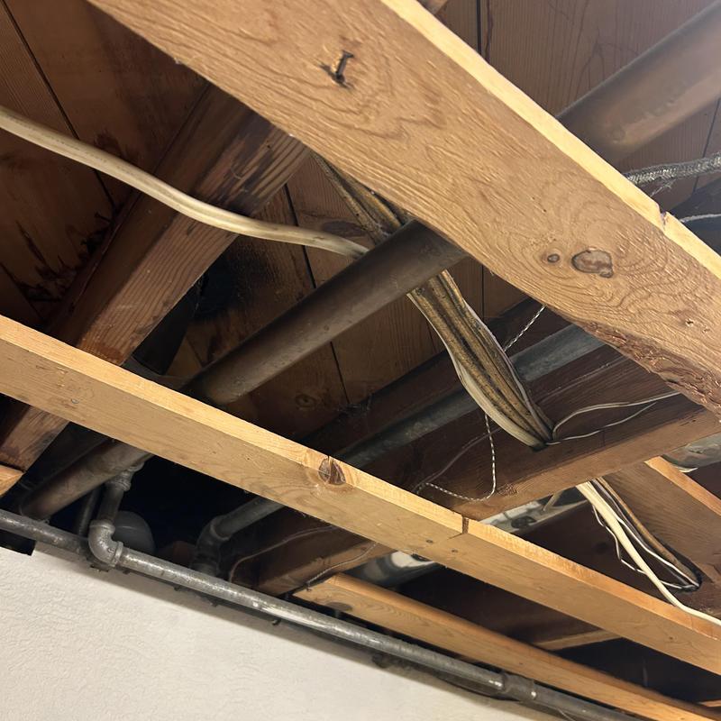 Floor drain plumbing and overhead pipes in ceiling joists