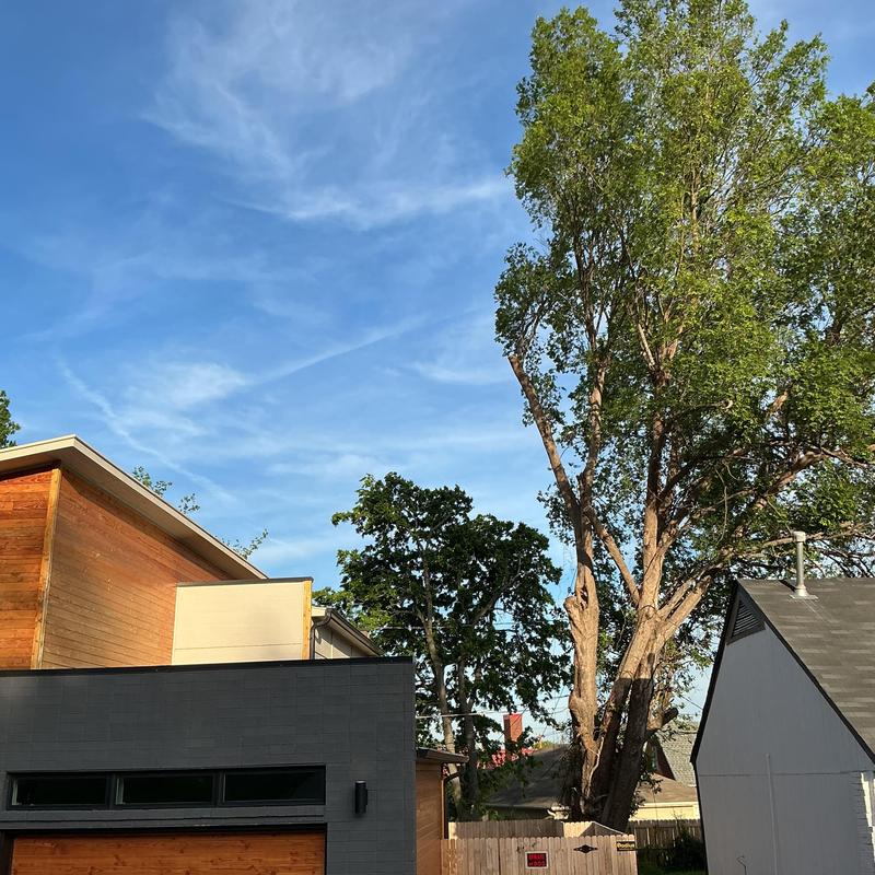 Tree trimming near house roof with bucket truck