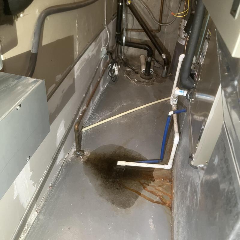 Basement sewage ejector pump area with water spill