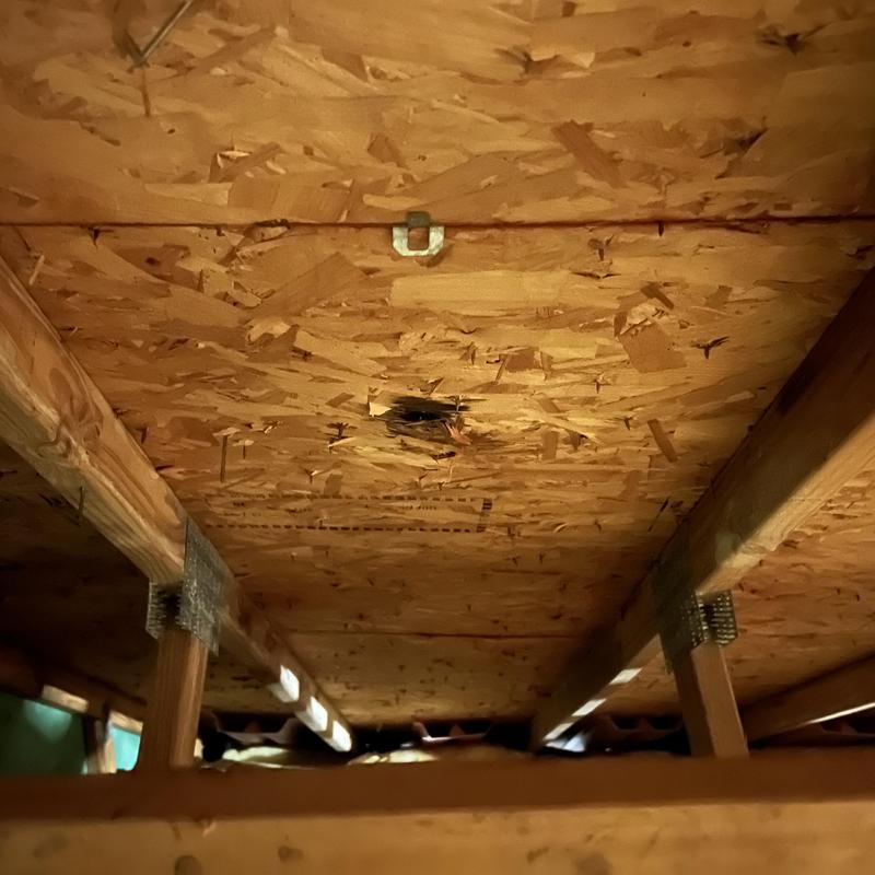 Oriented strand board ceiling damage in attic space