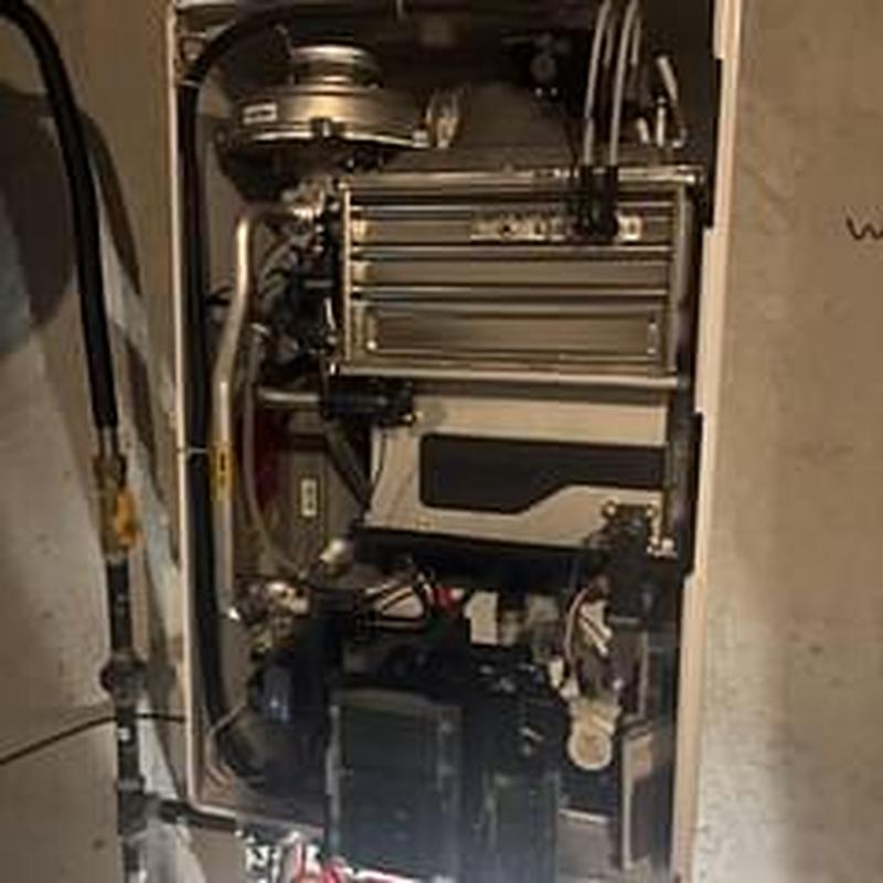 Tankless water heater flushing and inspection system