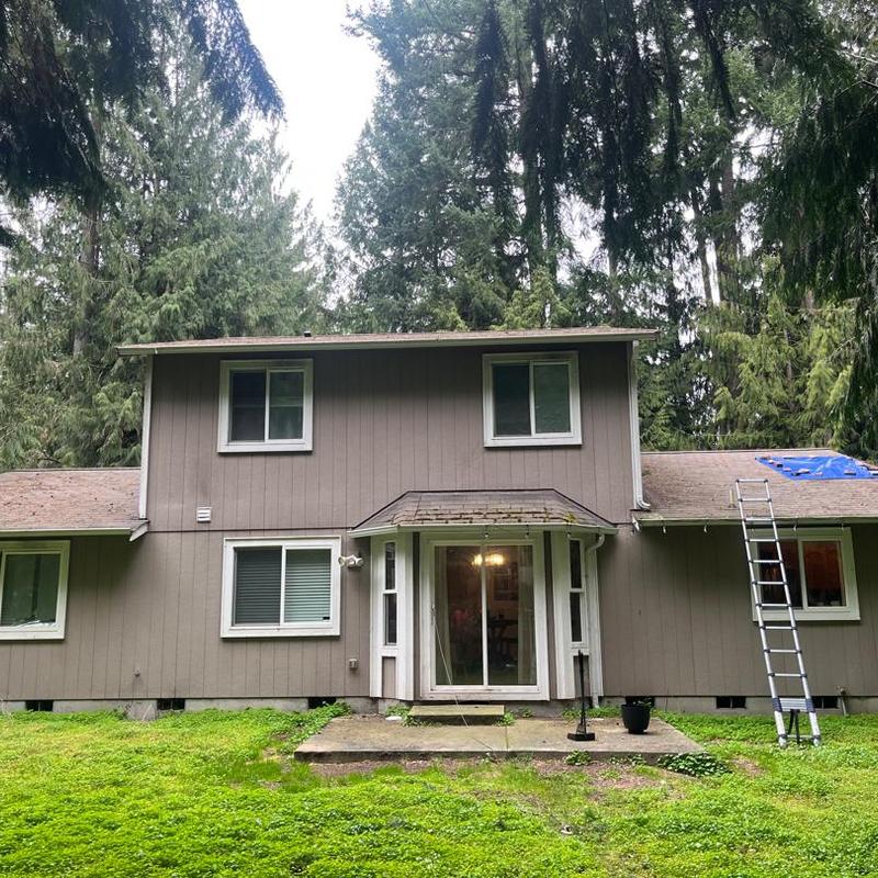 Roof shingles with tree puncture and ladder on side