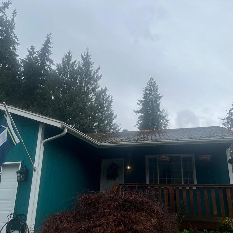 Roof shingles with moss and debris buildup