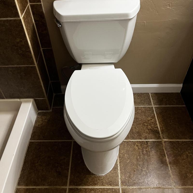 Toilet flange and closet bolts with caulking applied