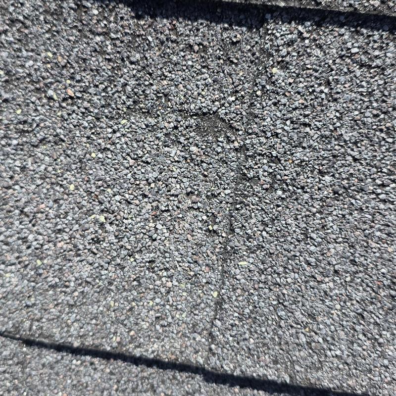 Asphalt shingle roof hail damage close-up in Terrell, TX