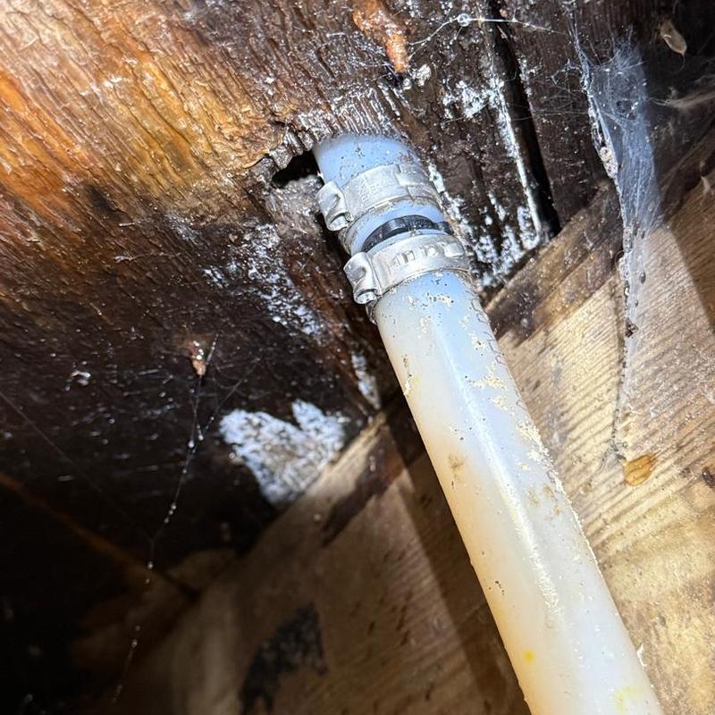 Pex pipe section replaced under wooden floor joist