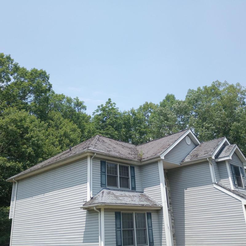 Worn asphalt shingles on residential roof with ladder Worn asphalt shingles on residential roof with ladder
