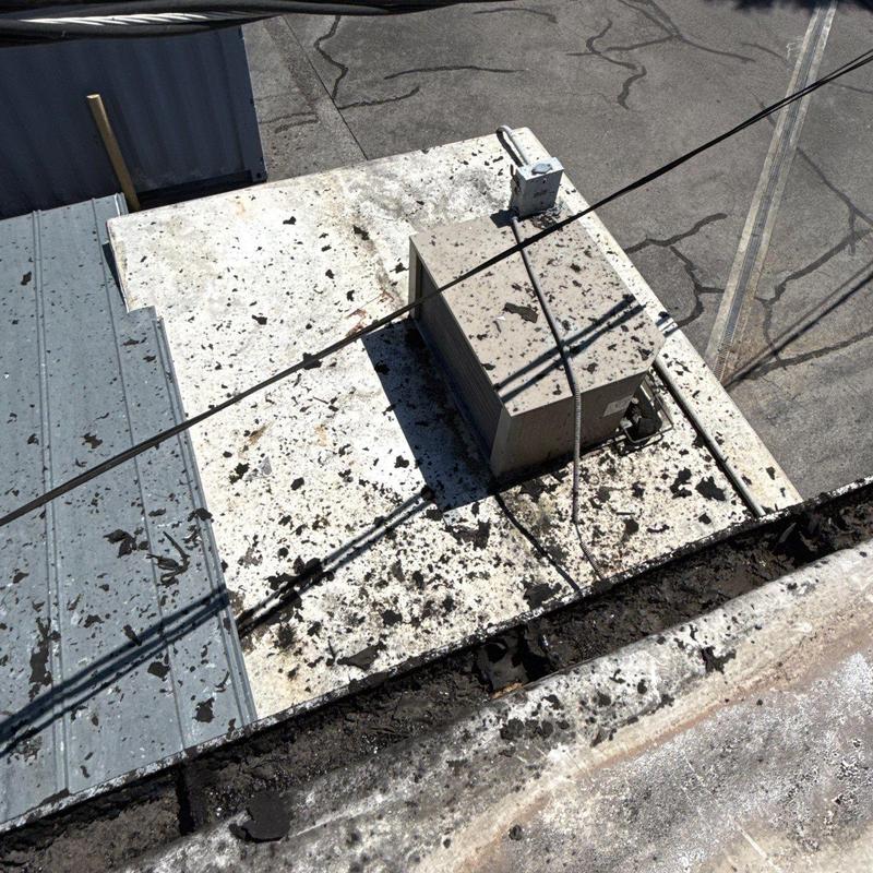 Flat roof with hail damage and debris buildup