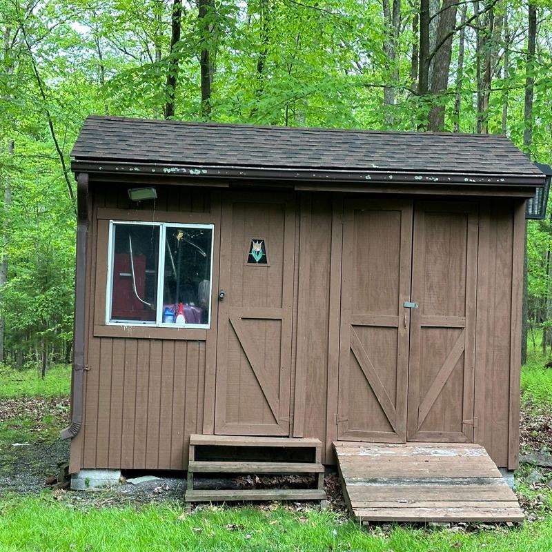Wooden shed roof with asphalt shingles in forest Wooden shed roof with asphalt shingles in forest