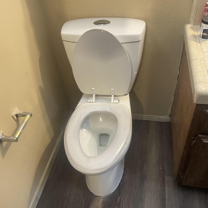 Toilet with new flange and wax ring installed