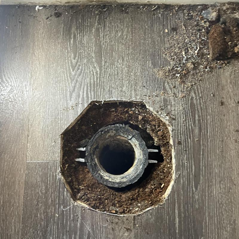 Toilet flange exposed in cut-out flooring section