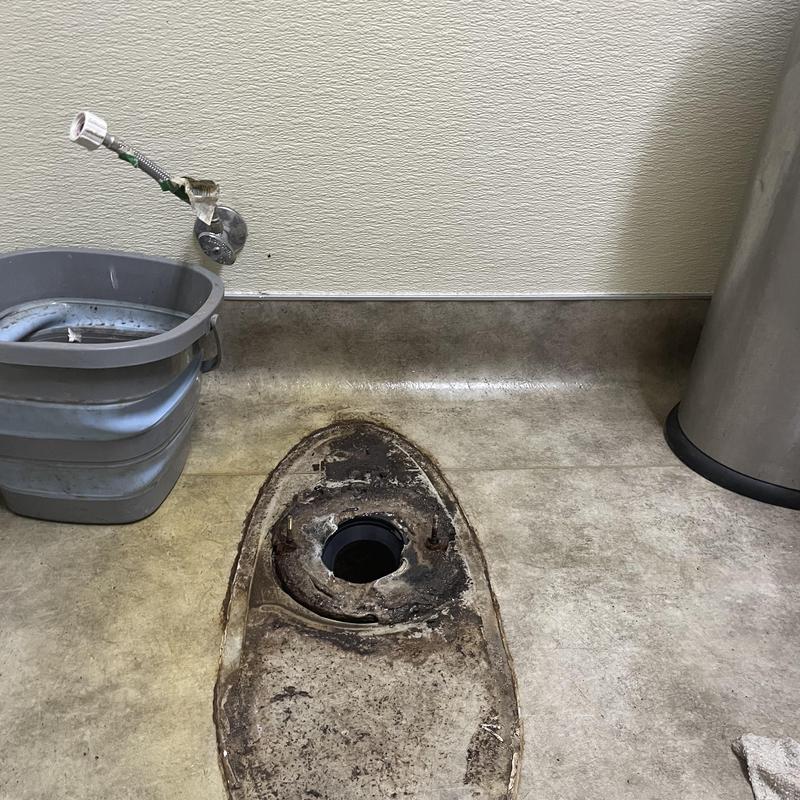 Commercial toilet flange with removed toilet and bucket nearby