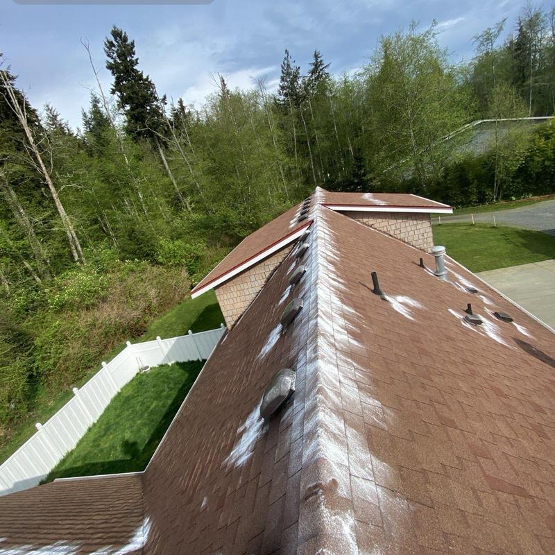 Roof moss treatment and skylight cleaning on shingles