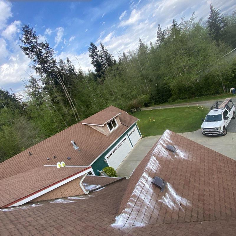 Skylights and roof moss treatment on residential home