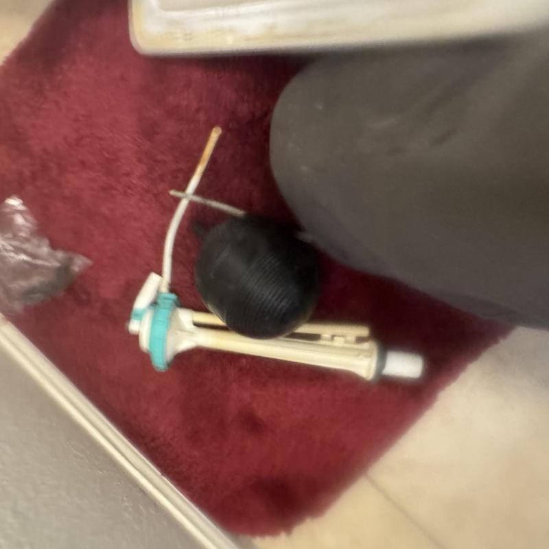 Toilet fill valve assembly on red carpet floor Toilet fill valve assembly on red carpet floor