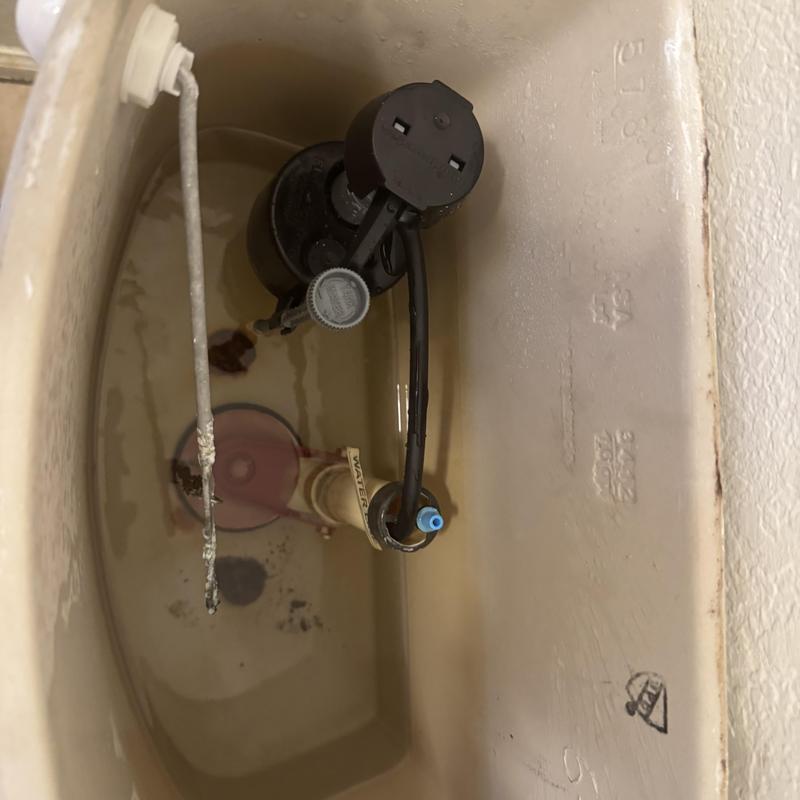 Toilet fill valve replacement inside tank in Avondale, AZ Toilet fill valve replacement inside tank in Avondale, AZ
