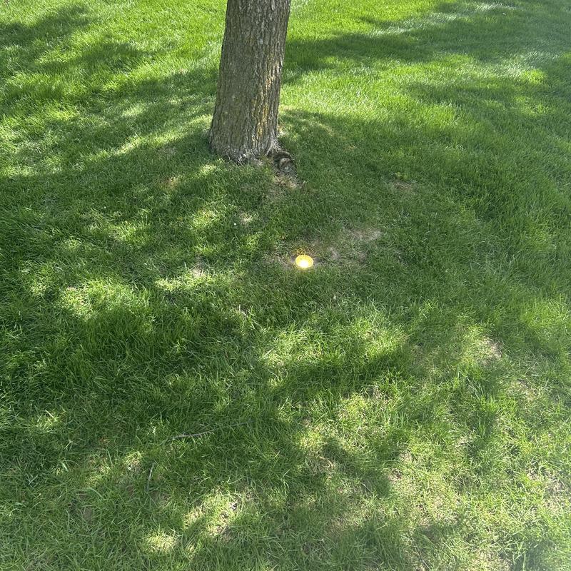 Landscape lighting time clock battery replacement near tree