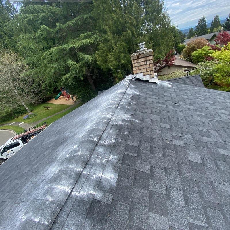 Asphalt shingle roof with moss treatment and cleaning