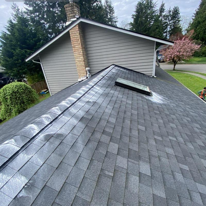 Asphalt shingle roof with skylight cleaning and moss treatment