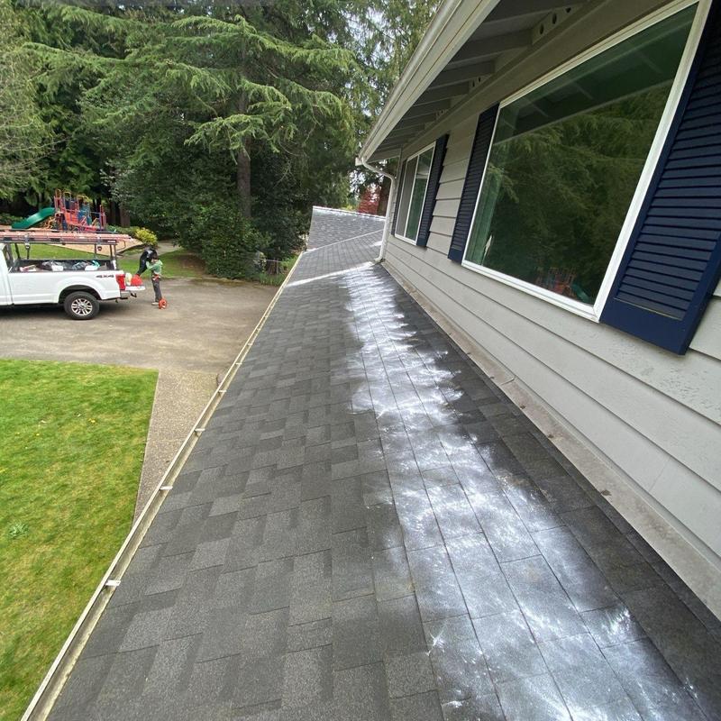 Roof moss treatment on asphalt shingles in Bothell