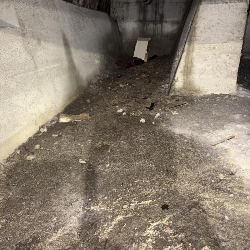 Main sewer line clearing with hydro jetting debris