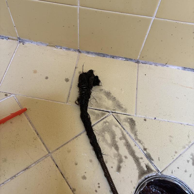 Shower drain clog with removed hair buildup on tile floor