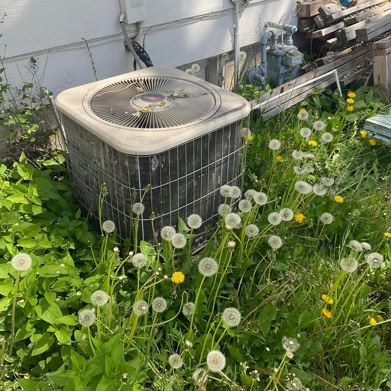 Outdoor HVAC condenser unit surrounded by overgrown weeds