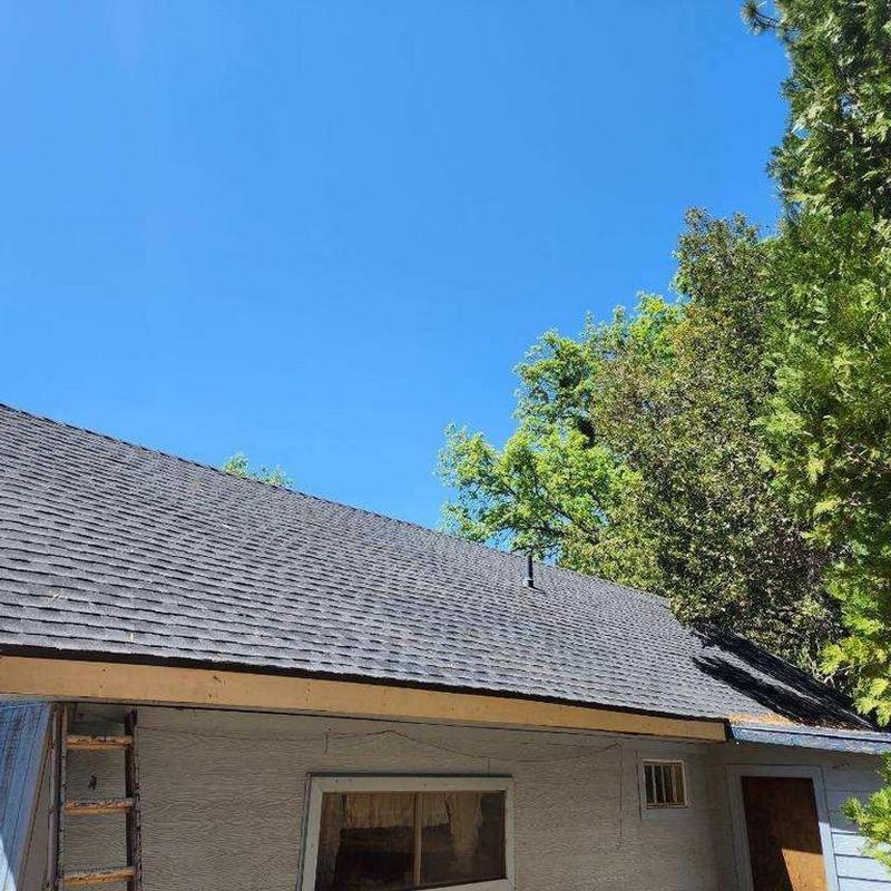 Cabin shingle roof replacement with tree damage repairs