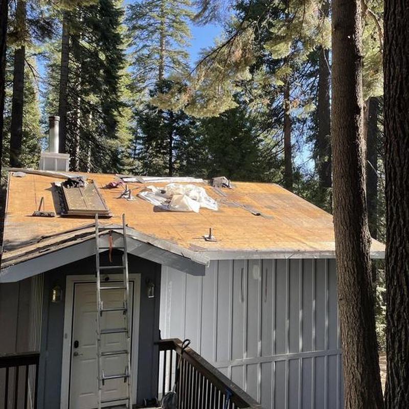 Asphalt roof plywood decking on cabin in forest