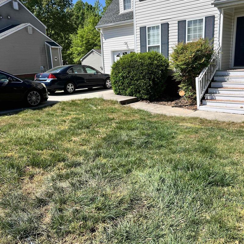 Underground water pipe repair with lawn restoration