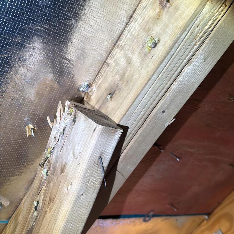 Roof framing with damaged and split lumber detail