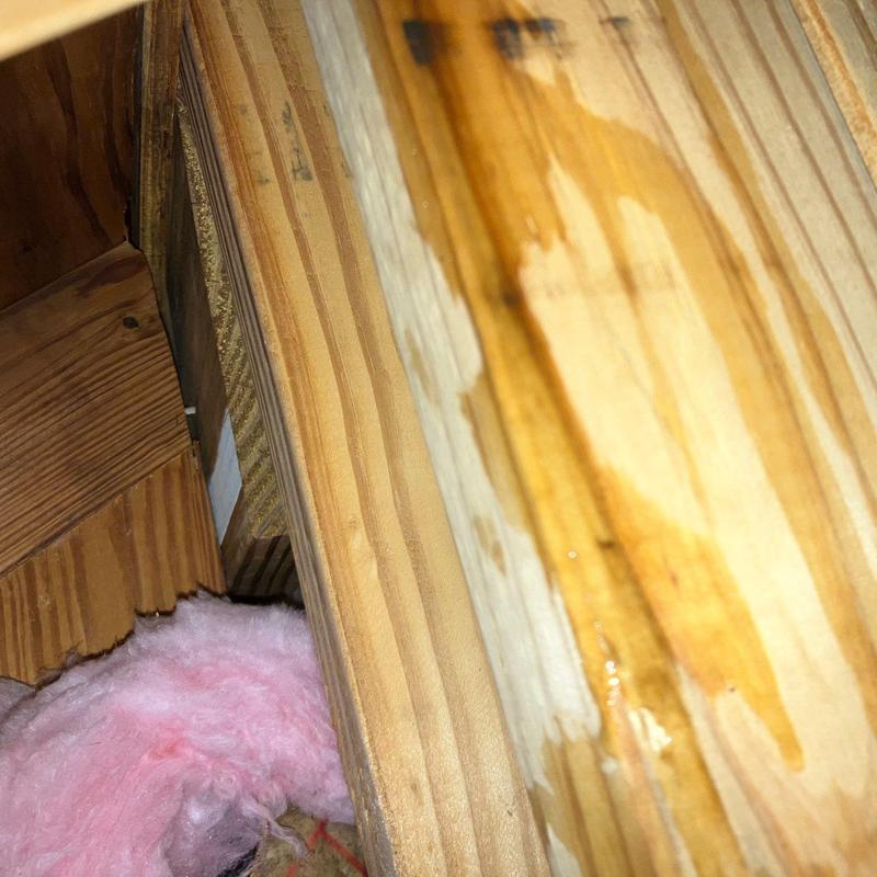 Roof decking with water damage and wet insulation
