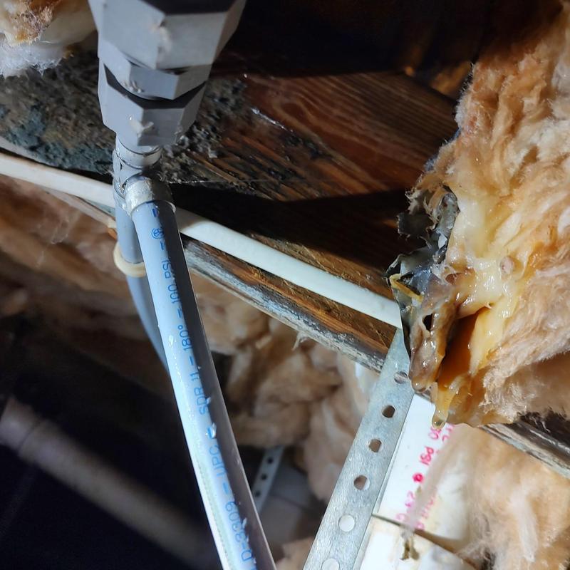 PVC water line leak in crawl space with insulation