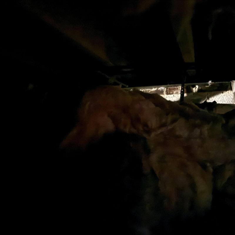 Subfloor insulation installation in dark crawl space Subfloor insulation installation in dark crawl space