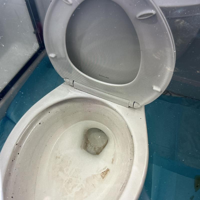 Toilet bowl with open lid showing water and stains