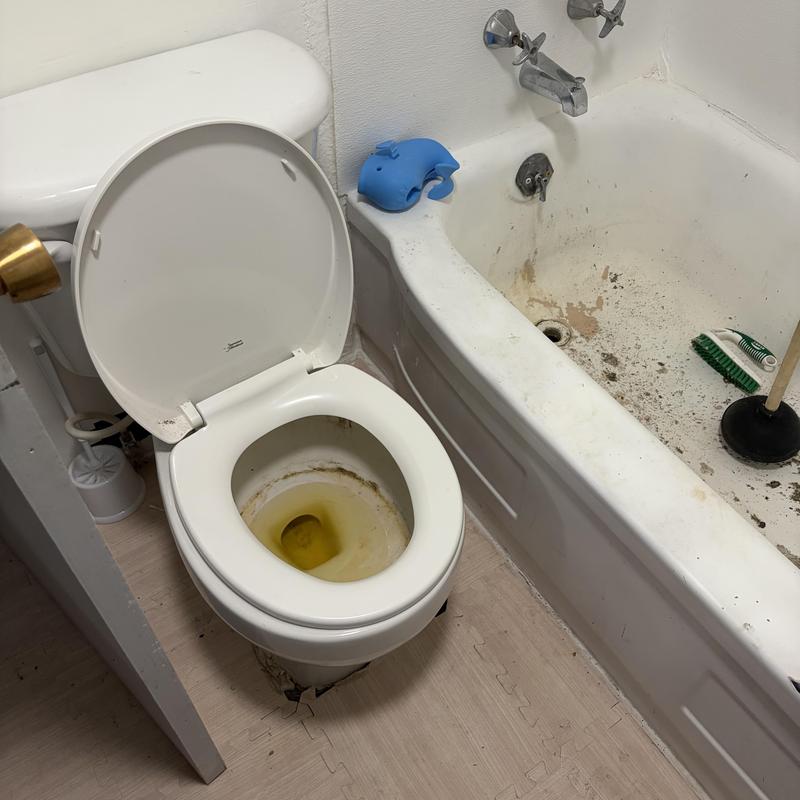 Toilet bowl with stained water and dirty bathtub