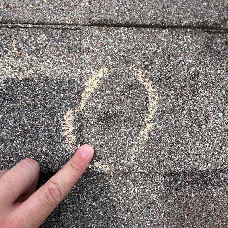 Asphalt shingle granule loss marked for hail damage