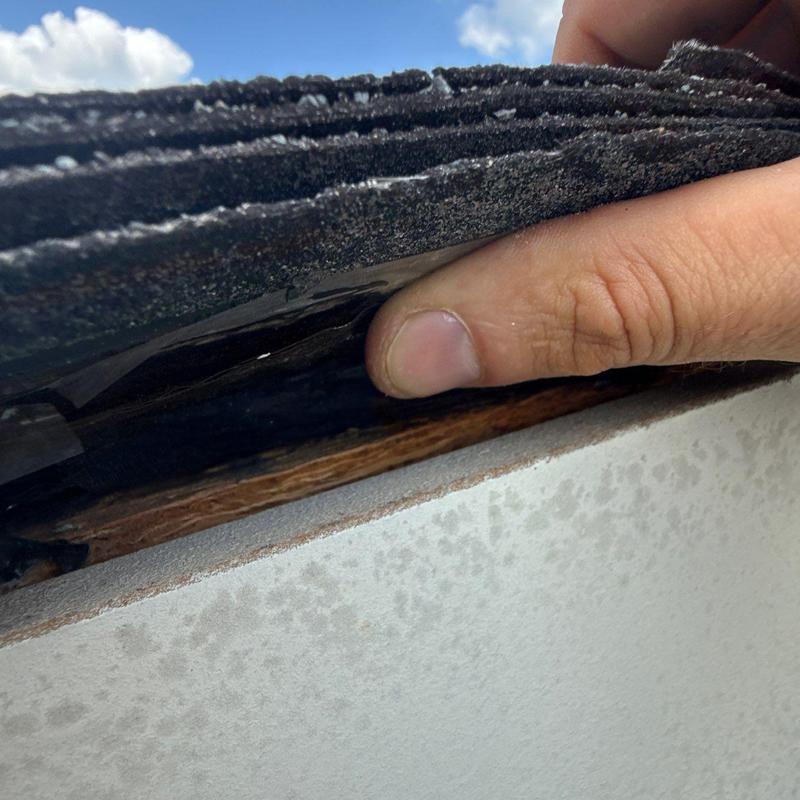 Roof shingles lifted showing underlying wood damage