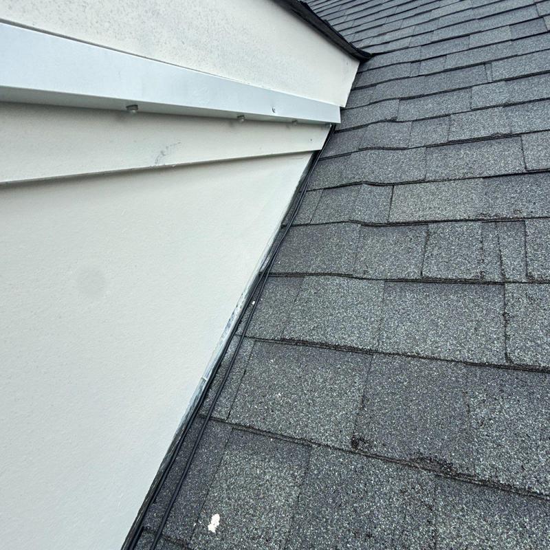 Roof shingles with granule loss and shingle bruising detail